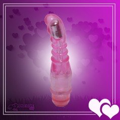 Give Me Orgasm Fun Vibrator FV-013