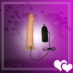 Hands-free Remote Controlled Penis Masturbator RSV-084