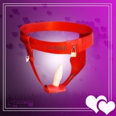 Chastity Lock Device for Women BDSM-002