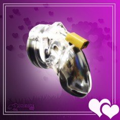 Chastity Lock CB-6000 S BDSM-011