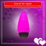 Baile Pretty Love Secret Vibrator with 10 Vibration Modes SV-001